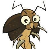 Hawthorn Pest Control