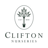 Clifton Nurseries - Surrey