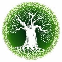 Roots Tree Surgeons Ltd