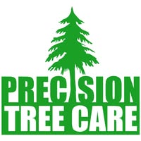 Precision Tree Care