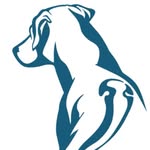 Ridgeback Projects Ltd