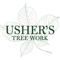 CSG Usher's Ltd