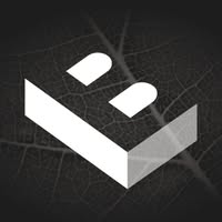 Black Leaf Build Ltd