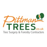 Pittman Trees Ltd