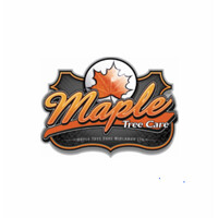 Maple Tree Care Ltd