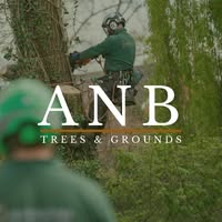 ANB Trees & Grounds Ltd