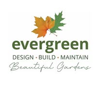 Evergreen Cheshire