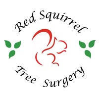 Red Squirrel Tree Surgery Ltd