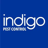 Indigo Pest Control