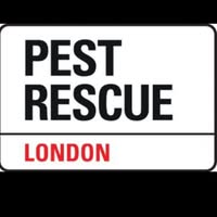 Pest Rescue London