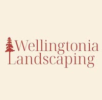 Wellingtonia Landscaping Ltd