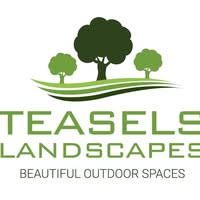 Teasels Landscapes