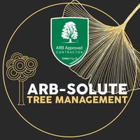 Arb-Solute Tree Management Ltd