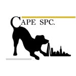 CAPE SPC