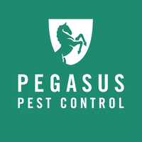 Pegasus Pest Control