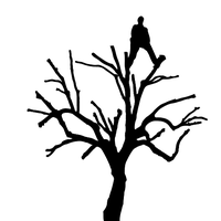 Walton's Tree Services Ltd