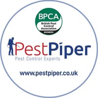 Pest Piper Ltd