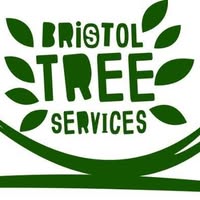 Bristol Tree Services