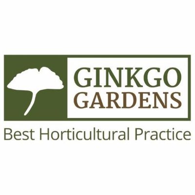 Ginkgo Landscapes
