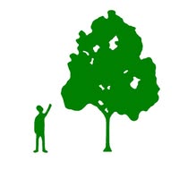 Christopher Hoare Tree Services Ltd