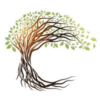 Beechwood Tree Care Ltd