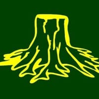 DH Tree Services Ltd