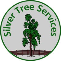 Silver Tree Services Ltd
