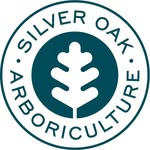 Silver Oak Arboriculture Ltd