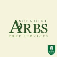 Ascending Arbs Tree Services Ltd
