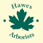 Hawes Arborists Ltd