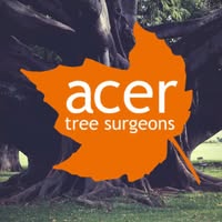 Acer Tree Surgeons Ltd