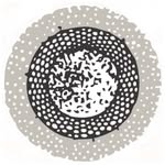 Landscape Design UK Ltd