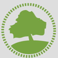 Cambridge Trees Ltd