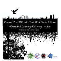Control Pest UK Ltd