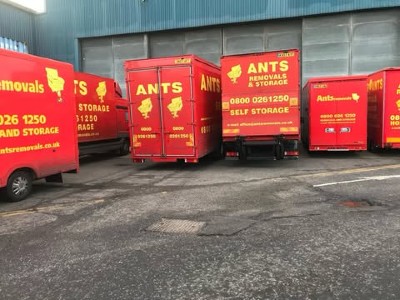 Ants Removals 2 Ltd