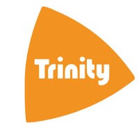 Trinity Construction Services Ltd