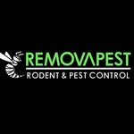 Removapest