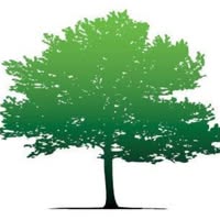 L.Smith Tree Surgery