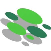 Sedgemoor Tree Services Ltd
