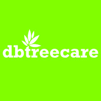 DB Tree Care Ltd