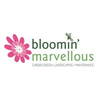 Bloomin Marvellous Landscapes Ltd