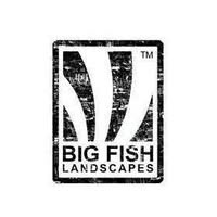Big Fish Landscapes