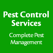 Control Services Ltd