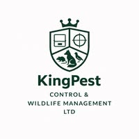 KingPest Control & Wildlife Management Ltd