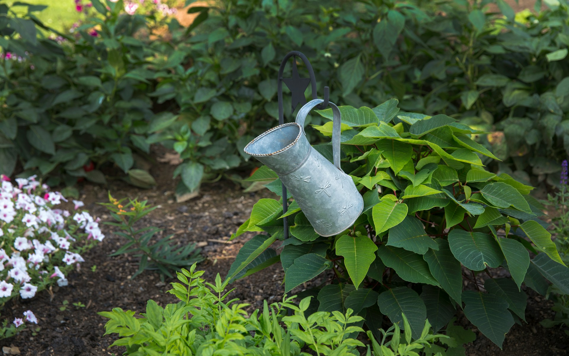 Vintage metal watering can positioned in flourishing garden bed with hostas and flowering plants representing professional UK garden maintenance