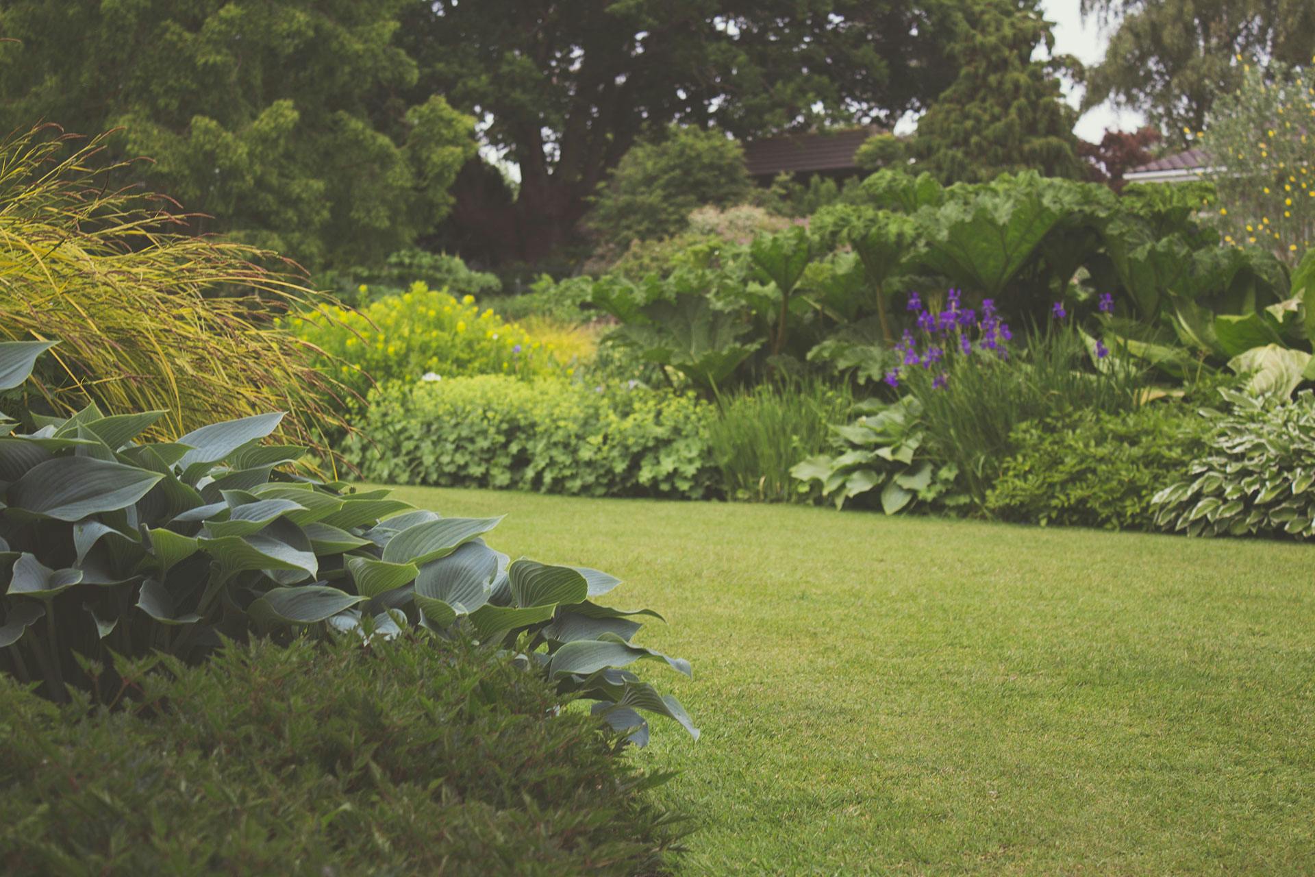 Image of a pristinely kept garden with vibrant colours 