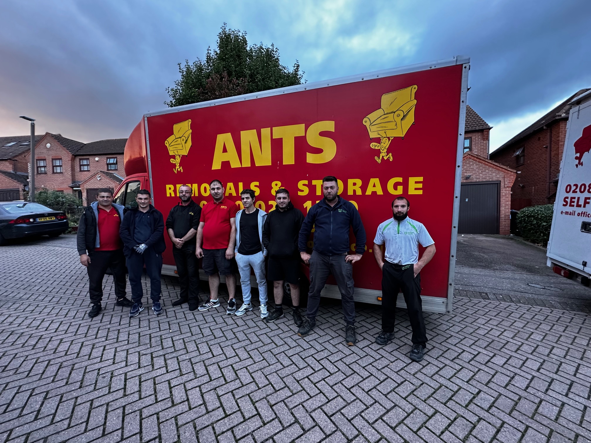 Ants Removals