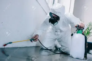 Pest Control in Kettering